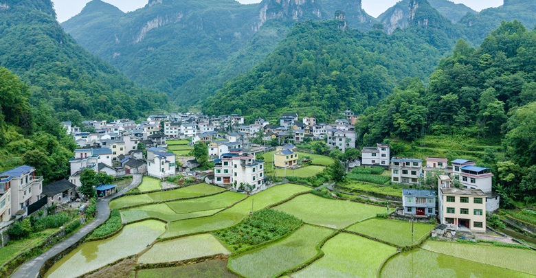 山鄉綠意濃